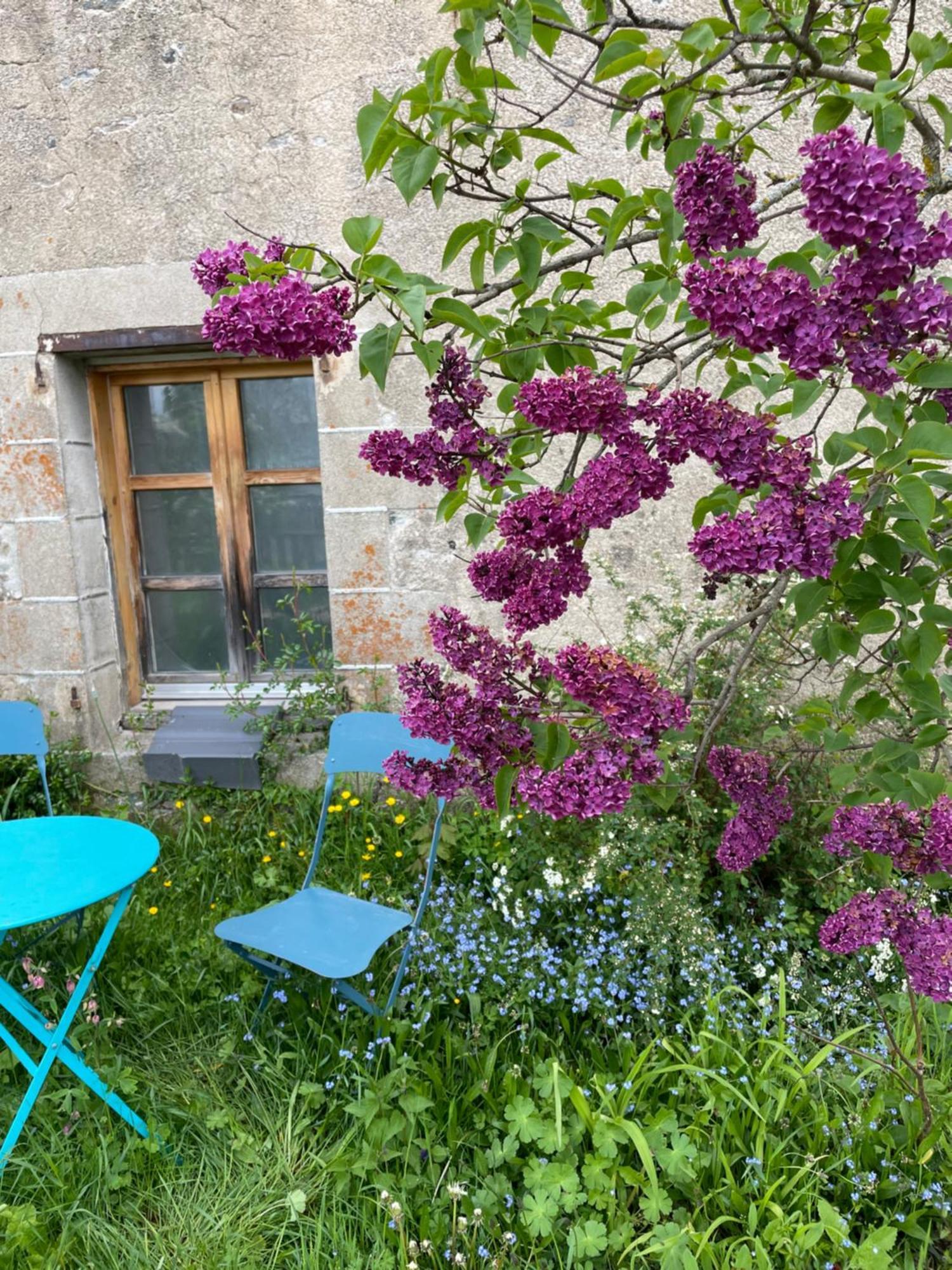 Chez Fabrice Bed & Breakfast Le Pertuis ภายนอก รูปภาพ